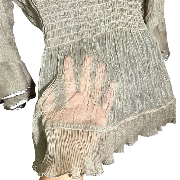 Daniel Tan Sheer Ruffle Button down Blouse - Picture 4 of 5